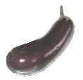 Aubergine