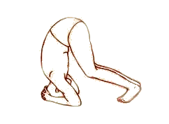 Yoga Übung Halber Kopfstand