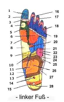 linke Fusssohle